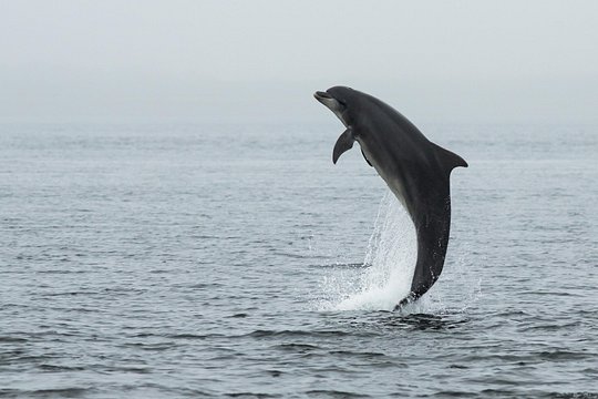 Tour image 1