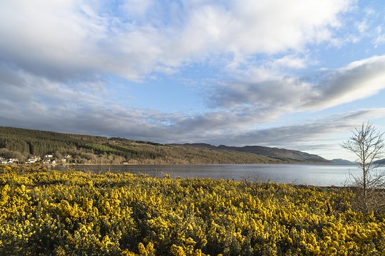 Tour image 5
