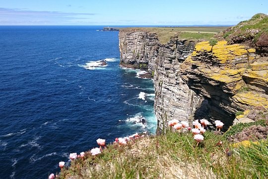 Tour image 5