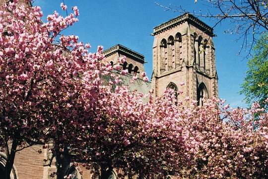 Tour image 12