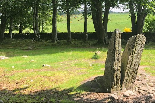 Tour image 12
