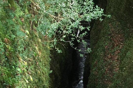 Tour image 12